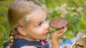С какого возраста можно давать детям грибы