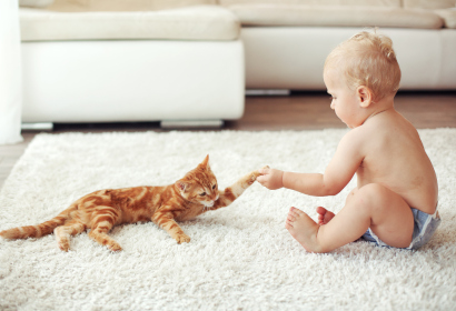 Малыш играет с котенком