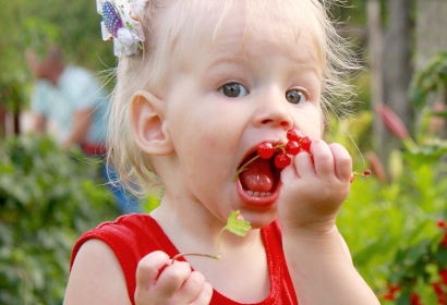Девочка ест полезные ягоды
